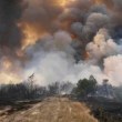 Последни данни за пожара в Пазарджишко