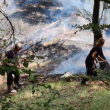 Пожар избухна в района на Беклемето в Стара планина ВИДЕО+СНИМКИ
