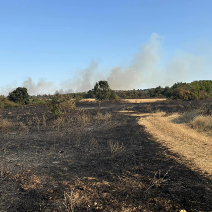 Огънят в село Воден отново се разгоря заради силния вятър Отново