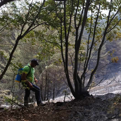 Силна лятна буря сложи край на пожара във високата част на Стара
