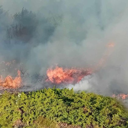 Повече от 130 военнослужещи от Сухопътните войски и Военновъздушните сили