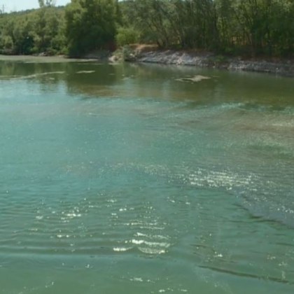 Масово измиране на рибата в язовир Пясъчник край Пловдив Според