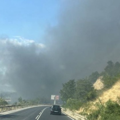 Пожар е избухнал в района на гара Кочериново Горят сухи