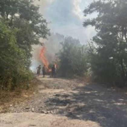 Над 200 кубика дървени трупи горят на гара Кочериново обл