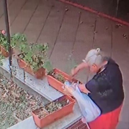 Възрастна жена си набра чужди цветя Случката е от Димитровград