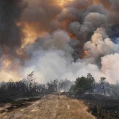 Досъдебно производство е образувано по случая с пожара край селата