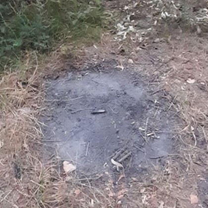 На фона на пожароопасната обстановка жители на страната продължават