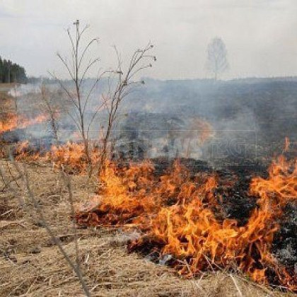 Мъж от Стрелча е задържан заради предизвикан от него пожар