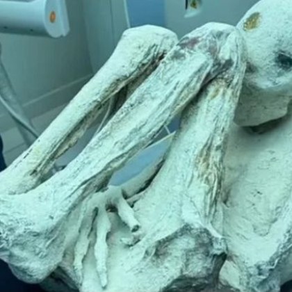 В Мексико експерти продължават изследванията на извънземните мумии които бяха