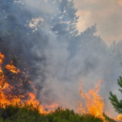 Сигнал за пожар в землището между селата Драгомир и Мало