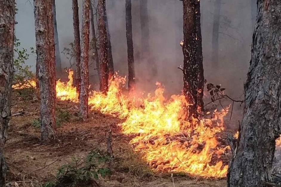 Огнени пламъци отново в Гърция, достигнаха границата ни