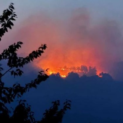 Огнеборци гасят пожар край Монтана Горят сухи треви и храсти