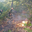 Пожарът в планината Славянка е ограничен