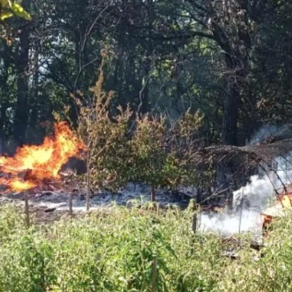 Мъж подпали гората в местността Странето в село Шума до