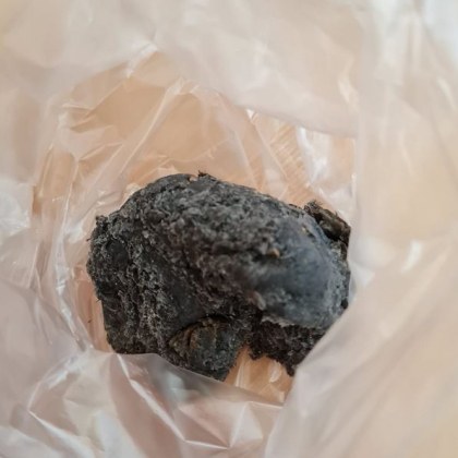 Отрова е била разхвърляна из улиците на столичен квартал За