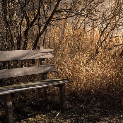 Британско семейство заведе педофил на почивка с детето си в