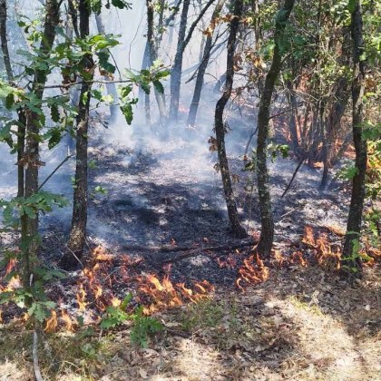 7 екипа на РДПБЗН Пловдив се борят с огъня обхванал