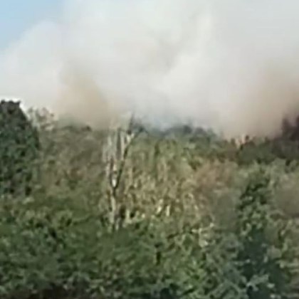 Избухна огромен пожар край Асеновград ВИДЕО