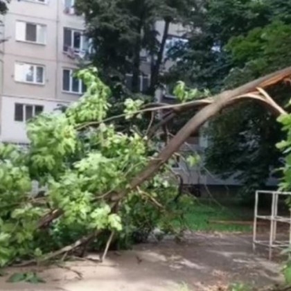 Клон се стовари върху баща и дете