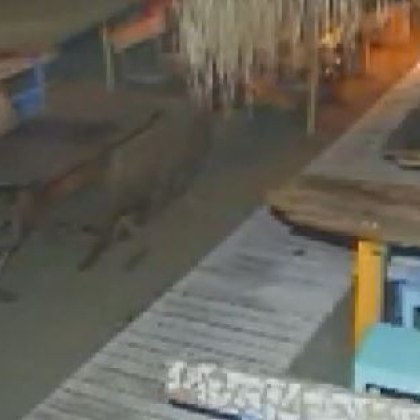 Непълнолетни са задържани за палеж на заведение в Морската градина в