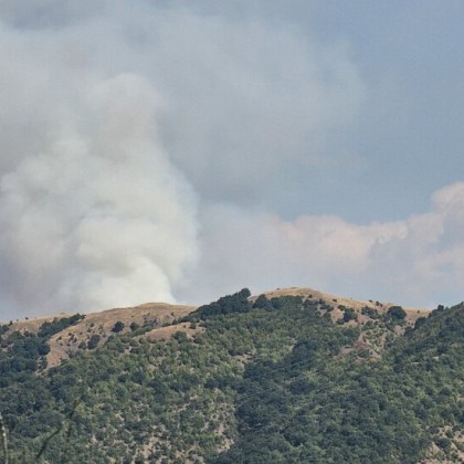 Пожар избухна между селата Сенокос и Стара Кресна Благоевградско Огънят гори