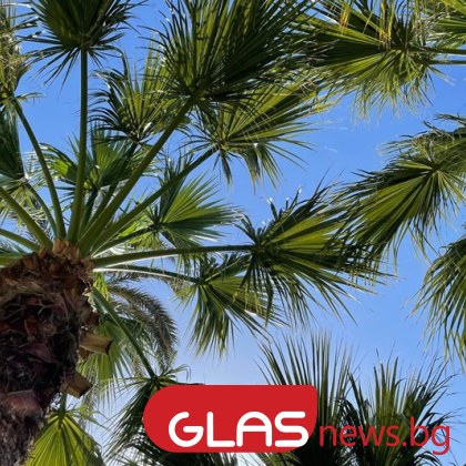 Днес ще бъде слънчево След обяд над западните райони ще