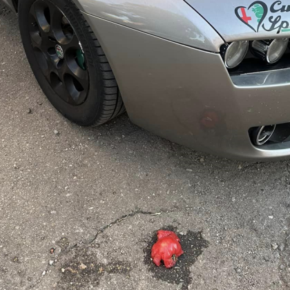 Автомобил в София осъмна с остатъци от домат по тавана