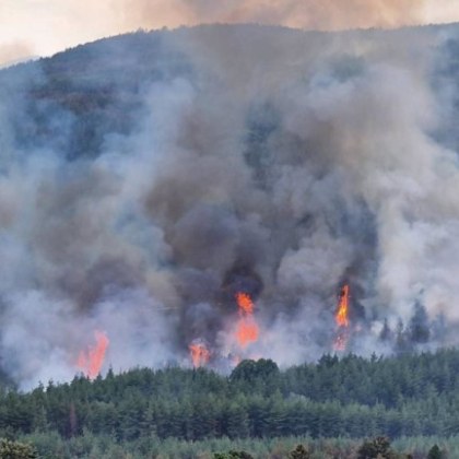 Пожар е избухнал в Кресненското дефиле между жп спирка Пейо