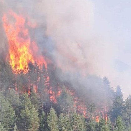 На територията на област Благоевград все още гори Вчера в