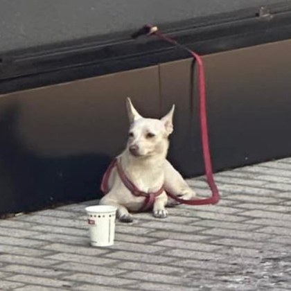 Ситуация притесни асеновградчанка Жената избрала да запазила анонимност попаднала на