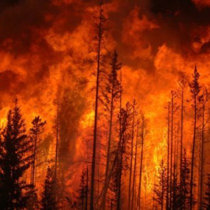 Пожар е възникнал в района на връх Синаница каза директорът