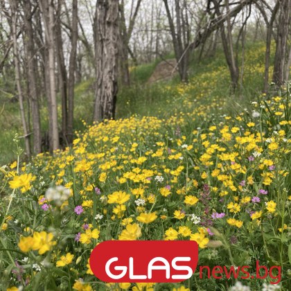 Над по голямата част от страната днес ще бъде предимно слънчево