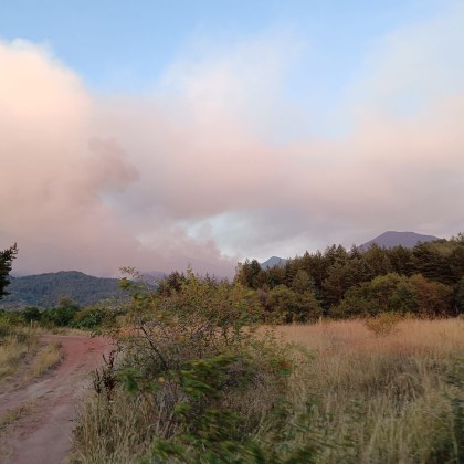 Шест пожара горят на територията в Благоевградско Не е овладян