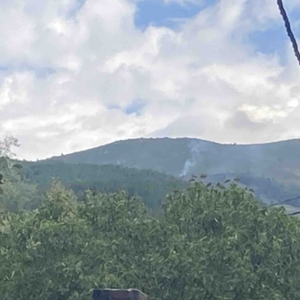 Пожарът край Чуйпетльово на Витоша е локалириран съобщиха от пожарната Служители