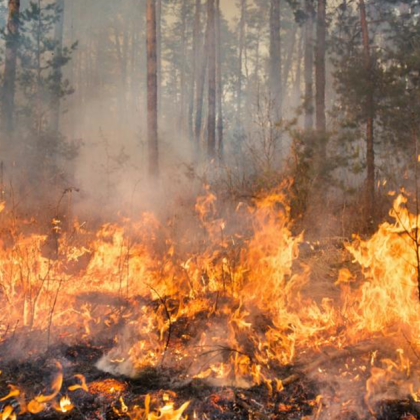 Голям пожар възникна до харманлийското село Черепово в Сакар планина