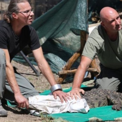 РИОСВ продължи проверката на документите за отглеждане на крокодила в