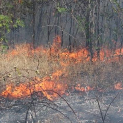 Овладян е пожарът между елховските села Гранитово и Лесово В