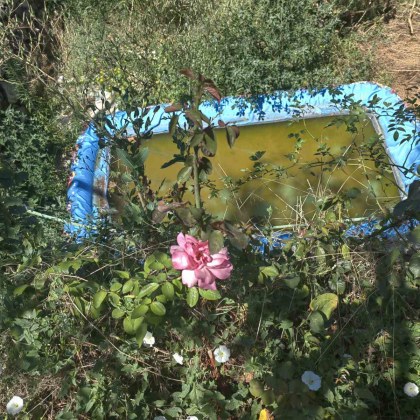 На 08 08 2024г полицейски служители от РУ Казанлък са извършили проверка в