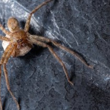 Мъж на 48 години е починал докато бил на почивка