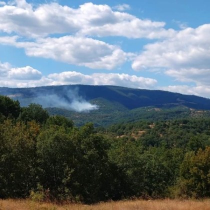 Пожар гори в махала Юручка в благоевградското село Лисия Положението