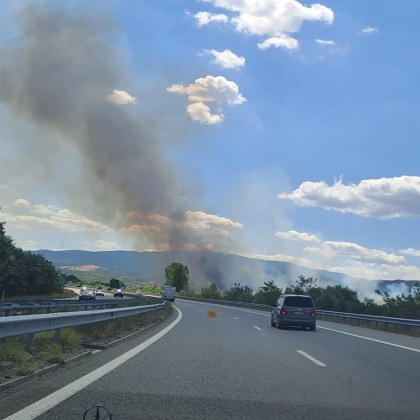 Пожар гори край Струма в Благоевградско Затова сигнализират хора в