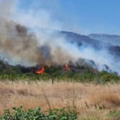 22 ден планината Славянка гори По информация от късно в