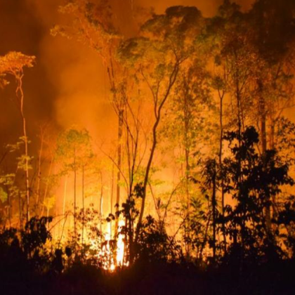 Пожарът избухнал край Атина в събота се разпространи днес до