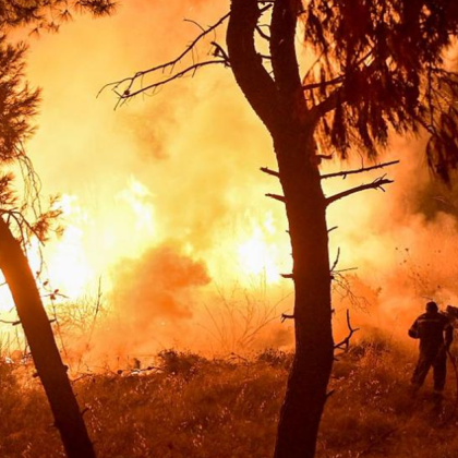 Заради жълтия код за опасно високи температури в цялата страна