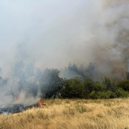 Щетите от пожара до село Алино са големи 450 декара