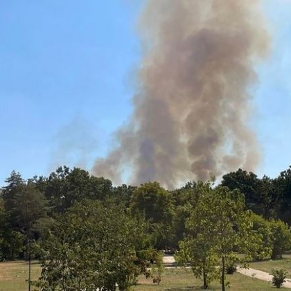 Пожар избухна този следобед в Плевен Гори гора край парк Кайлъка