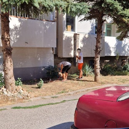 Столичанка алармира за опасната игра на две деца от квартал