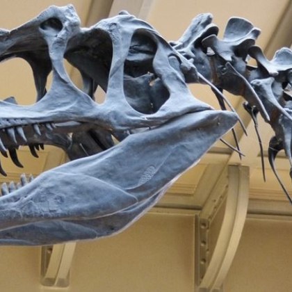 От 2 до 10 август тази година се проведе Седмата