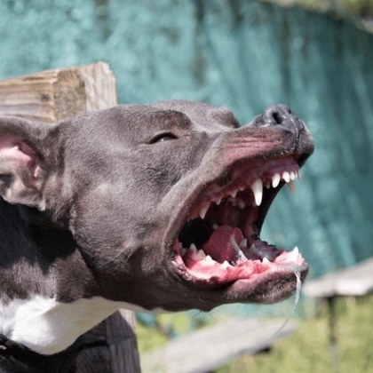 В социалните мрежи жена сподели потресаващата ситуация на която е