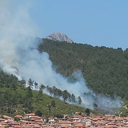 Първи подробности за пожар възникнал над квартал Комлука в Сливен Огънят